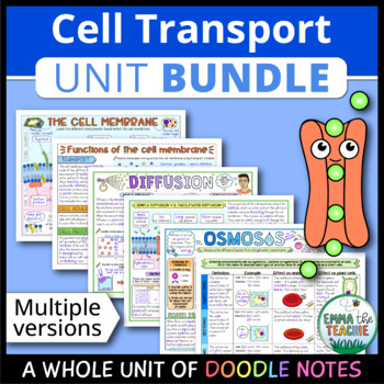 Preview of Cell Transport Unit - Doodle Notes BUNDLE