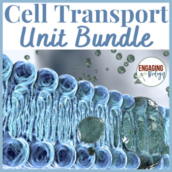 Preview of Cell Transport: Unit Resources Bundle