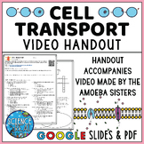 Cell Transport Amoeba Sisters Video Handout