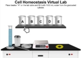 Cell Transport Virtual Lab - Osmosis Focused