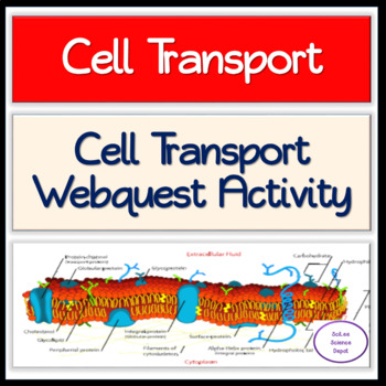 Preview of Passive Cell Transport WebQuest Activity