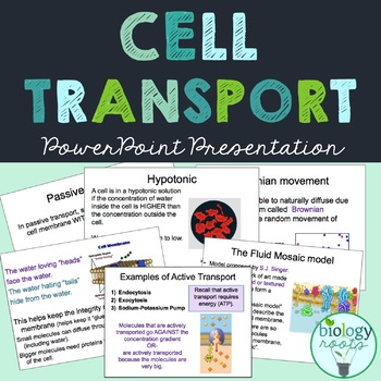 Preview of Cell Transport Notes