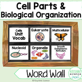 Cell Types, Parts, Levels of Organization Word Wall Vocabu