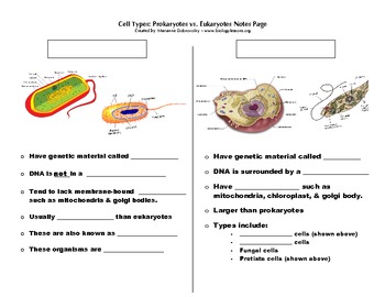 Cell Types: Prokaryote vs. Eukaryote Notes Page by POP Science | TpT