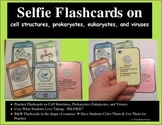 Cell Organelles Flashcards