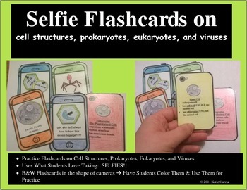 Preview of Cell Organelles Flashcards