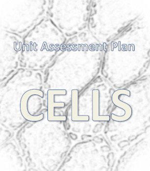 Preview of Cell Unit