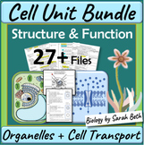 Cell Unit Bundle Cellular Organelles Cell Transport Osmosi