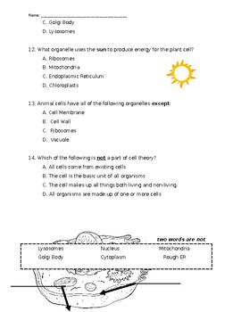 Cell Unit Test, Spanish, Modified versions by Duke's Creations | TpT