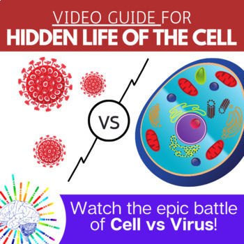 Preview of Cell Video: Hidden Life of the Cell (BBC) Video Guide 