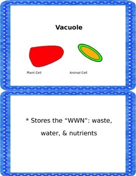 Cell Vocabulary Cards by The Math-Minded Mom | Teachers Pay Teachers