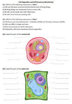Cell - Worksheets | Distance Learning by Science Worksheets | TpT