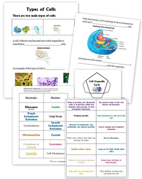 Cell Worksheets - Parts of Cell, Animal vs. Plant Cells, and More