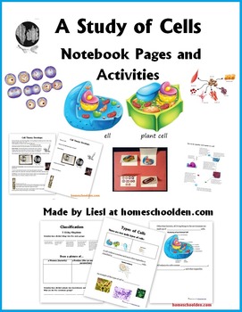 Cell Worksheets - Parts of Cell, Animal vs. Plant Cells, and More