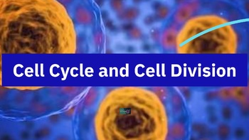 Preview of Cell and Cell Division - Prezi