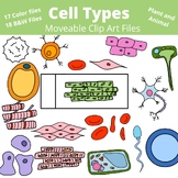 Cell and Tissue Types Bio Clip Art | Clipart Moveable Piec
