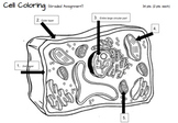 Plant Cell Coloring And Label Worksheets Teaching Resources Tpt