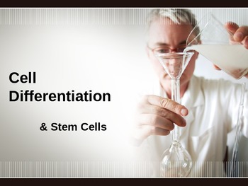 Preview of Cell differentiation & stem cell presentation