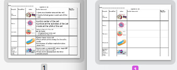 Preview of Amplify - Differentiated set of cell organelle's graphic organizer chart