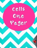 Cell organelle one pager