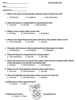 Cell organelle quiz #1 by Ms Mac | Teachers Pay Teachers