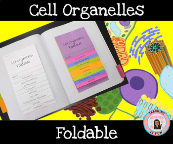 Preview of Cell organelles Foldable Animal and Plant Cell