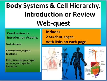 Preview of Cell organization hierarchy & human body systems webquest intro/review. With KEY