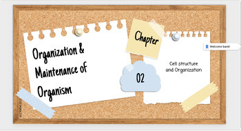 Preview of Cell structure & Organisation of lIfe Powerpoint