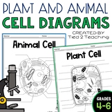 Plant and Animal Cells Blank Cell Diagram Assessments