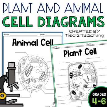 Preview of Plant and Animal Cells Blank Cell Diagram Assessments