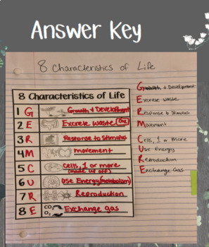 Cells 8 Characteristics Of Life Tpt