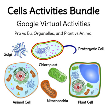 Preview of Cells Virtual Activities Bundle