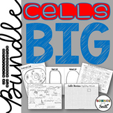 Cells BIG Bundle of Activities and Assessments