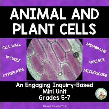 Preview of Cells:  Animal Cells and Plant Cells and Organelles