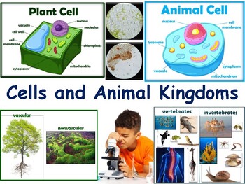 Preview of Cells & Animal Kingdoms Lesson - study guide, state exam prep 2023-2024