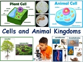 Cells & Animal Kingdoms Lesson - study guide, state exam p