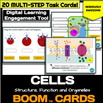 Preview of Cells Boom Card Deck: Organelles, Structure, Transport and Theory