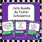 Cells Bundle Set-Digital For Virtual/ Distance Learning an