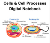 Cells & Cell Processes Digital Notebook