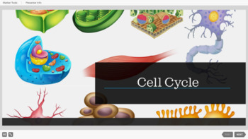 Preview of Cells - Cell cycle (interactive simulations)