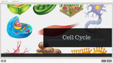Cells - Cell cycle (interactive simulations)