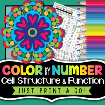Preview of Cell Organelles Color by Number - Science Color By Number