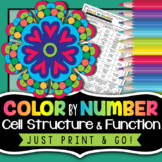 Cell Organelles Color by Number - Science Color By Number
