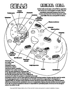 Cells Coloring Bundle by Bio Is Life | Teachers Pay Teachers