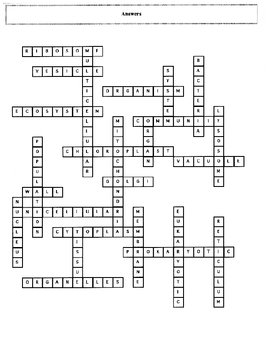 Cells Crossword Puzzle with Key by Maura Derrick Neill TPT