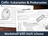 Cells - Eukaryote & Prokaryote structure and scale (GCSE)