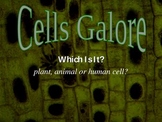 Cells Galore: Classifying Cells as Human, Plant or Animal Cell