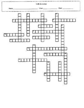 Cells in Action Crossword Puzzle with Key by Maura Derrick Neill
