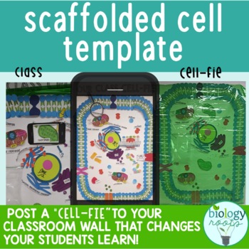Interactive Cell Model