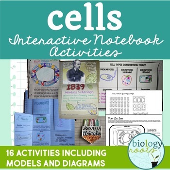 Preview of Cells Interactive Notebook